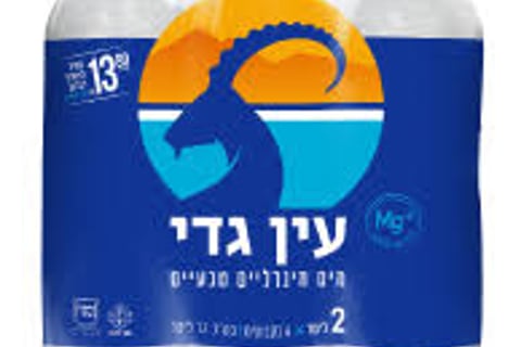 שישיית עין גדי